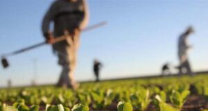 Δεν υπάρχουν εργατικά χέρια – Οι επιχειρήσεις στρέφονται στις τρίτες χώρες