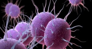 Αλωνίζουν τα σεξουαλικώς μεταδιδόμενα νοσήματα – Κάνουν «πάρτι» σύφιλη, χλαμύδια, γονόρροια και μποξ