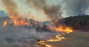 Τουρκία: Οι φλόγες απειλούν την τέταρτη πόλη της χώρας