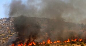 SOS από Τμήμα Δασών: Σε επίπεδο «Κόκκινου Συναγερμού» ο κίνδυνος πρόκλησης πυρκαγιών