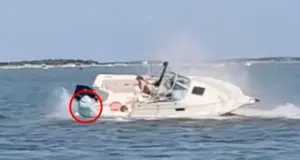 Νιού Τζέρσεϊ: Η στιγμή που φάλαινα ρίχνει στο νερό γυναίκα από σκάφος