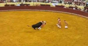 Σοκ στη Λισαβόνα: Εξαγριωμένος ταύρος σκότωσε 22χρονο ταυρομάχο – Νεκρός και θεατής