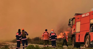 Σύλληψη 32χρονου για κακόβουλη φωτιά στο Τρόοδος – Είχε εντοπιστεί πετρέλαιο στο σημείο