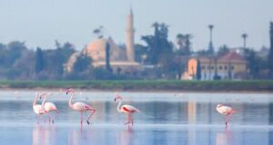 Πάρκο Αλυκών στη θέση του λεπροκομείου – Μετά από 15 χρόνια στον πάγο, άρχισε η υλοποίησή του