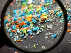 Μελέτη: Τα μικροπλαστικά επιδρούν στο έντερο με τρόπο παρόμοιο με τον καρκίνο