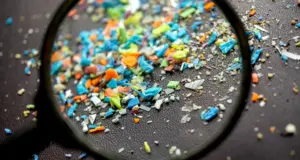 Τα μικροπλαστικά είναι παντού – 10 τρόποι να προστατεύσουμε το σπίτι μας από αυτά