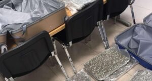 Ρεκόρ κατασχέσεων ναρκωτικών το 2025: Κάνναβη στο 96% των υποθέσεων