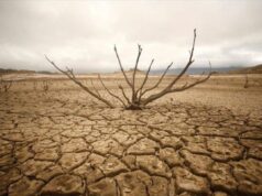 Το φετινό υδρολογικό έτος ήταν το 8ο πιο άνομβρο από το 1901