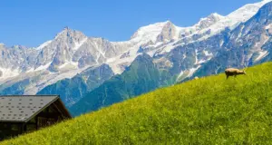 Η ευρωπαϊκή χώρα που ψάχνει επειγόντως εργάτες: Μισθοί από 3.000 ευρώ και δωρεάν διαμονή με θέα τις… Άλπεις