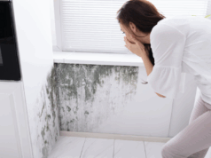 Αποφύγετε 6 λάθη που εγκλωβίζουν υγρασία και μούχλα στο σπίτι