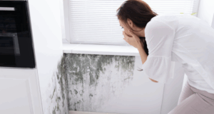 Αποφύγετε 6 λάθη που εγκλωβίζουν υγρασία και μούχλα στο σπίτι