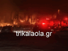 Στις φλόγες η μπισκοτοβιομηχανία «Βιολάντα» – Αγνοούνται πέντε εργαζόμενες