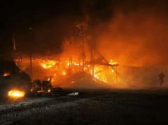 Στις φλόγες φάρμα στο Μένοικο – Κάηκαν πάνω από 1000 νεογέννητα αιγοπρόβατα