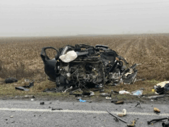 Σοκαριστικό τροχαίο με οπαδούς του ΠΑΟΚ στη Ρουμανία -Επτά οι νεκροί μετά τη σύγκρουση βαν με φορτηγό