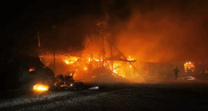 Στις φλόγες φάρμα στο Μένοικο – Κάηκαν πάνω από 1000 νεογέννητα αιγοπρόβατα