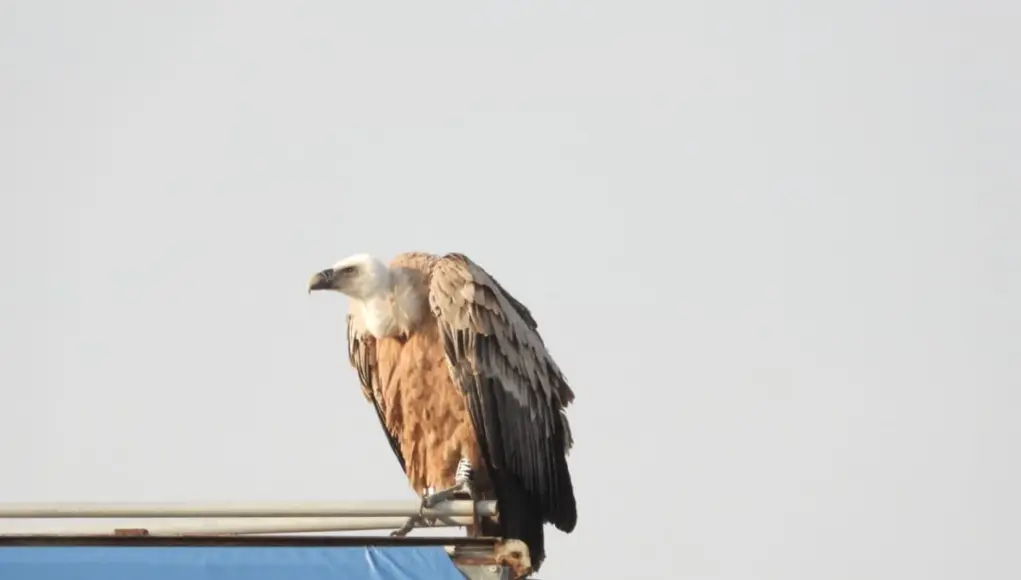 623418794_1414914190671387_7465241176316807877_n