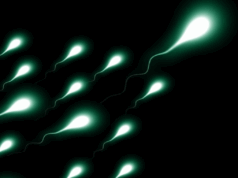 Τι δείχνει έρευνα του πανεπιστημίου της Οξφόρδης για τη συχνή εκσπερμάτιση