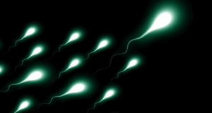 Τι δείχνει έρευνα του πανεπιστημίου της Οξφόρδης για τη συχνή εκσπερμάτιση