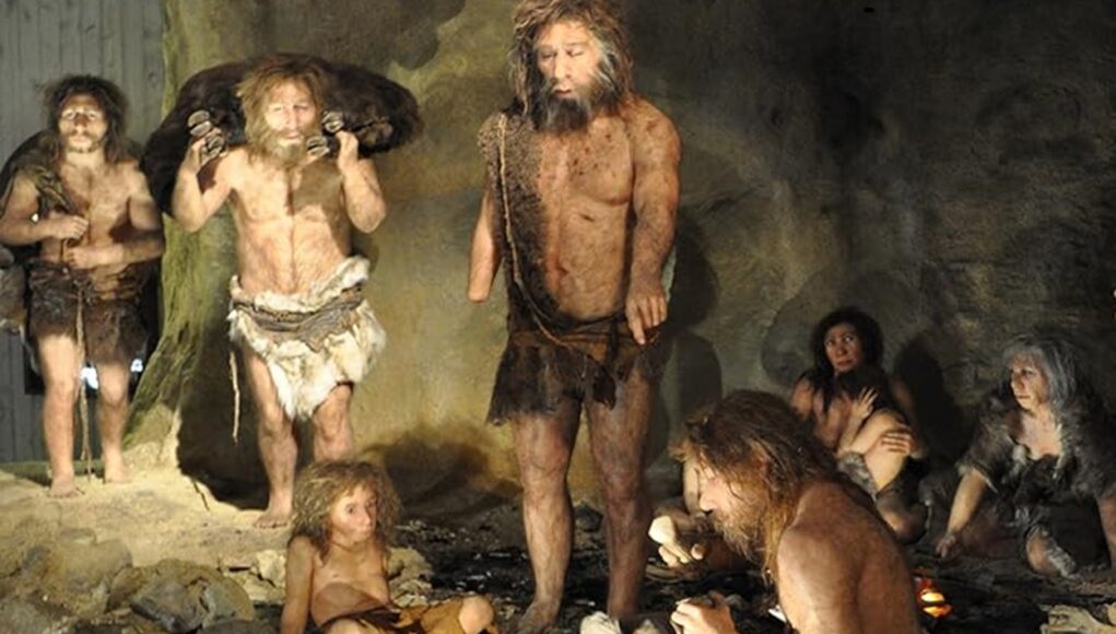 8da2b56214db75735a840521ae7f71794bc51835867f979be2ecc3f18bde3b2a._SX1080_FMjpg_