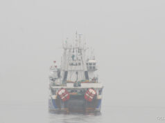 Η Oceana καταθέτει οδικό χάρτη για έναν ανθεκτικό και ανταγωνιστικό τομέα θαλάσσιων τροφίμων έως το 2040