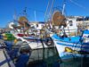 Η Oceana καλεί την ΕΕ να περάσει από τις στρατηγικές στις πράξεις για τα νησιά και τις παράκτιες κοινότητες