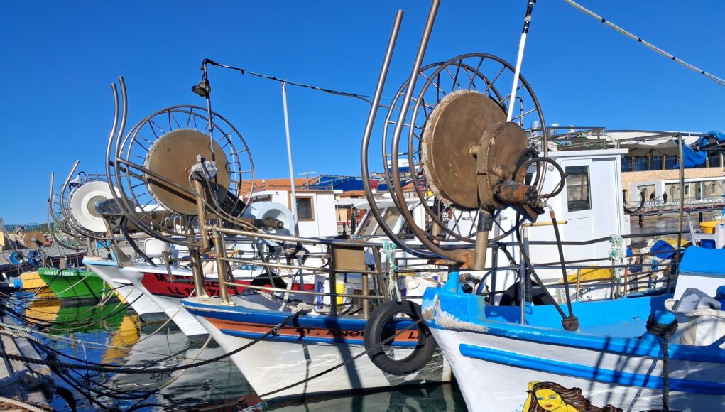 EUO © OCEANA Javier López 83473