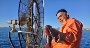 ΕΡΕΥΝΑ: 9 στους 10 Κύπριους παράκτιους αλιείς δηλώνουν ότι η κρατική παρέμβαση δεν επαρκεί