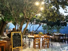 Η νέα γενιά οινοποιών του Αγίου Θεοδώρου Πιτσιλιάς φέρνει χρυσό βραβείο στην Κύπρο