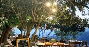 Η νέα γενιά οινοποιών του Αγίου Θεοδώρου Πιτσιλιάς φέρνει χρυσό βραβείο στην Κύπρο