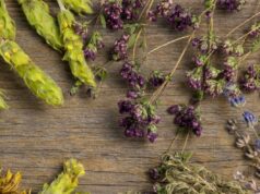 Φυσικές λύσεις για αέρια και φούσκωμα – 7 φυτά που βοηθούν την πέψη