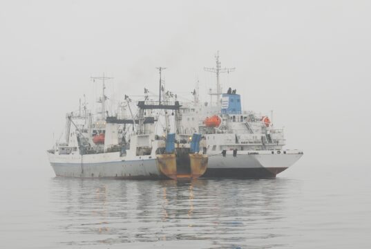 Η Oceana καλεί την Κυπριακή κυβέρνηση να αποκαλύψει την κρυφή ιδιοκτησία αλιευτικών σκαφών υψηλού κινδύνου