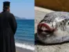 Απίστευτο περιστατικό: «Μοναχός» YouTuber έκανε… εξορκισμό σε λαγοκέφαλο