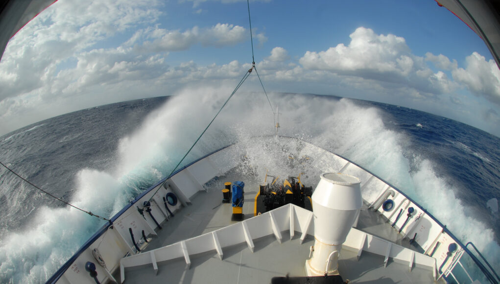 EUO © OCEANA Enrique Talledo 76226