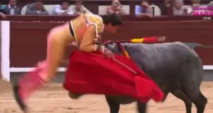 Ταύρος κάρφωσε και πέταξε στον αέρα ταυρομάχο στην Ισπανία, του προκάλεσε τραύμα 30 εκατοστών, δείτε βίντεο