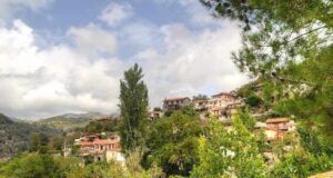 Πλούσιο πρόγραμμα εκδηλώσεων στον Άγιο Θεόδωρο Πιτσιλιάς – Όλα όσα θα γίνουν το φετινό καλοκαίρι