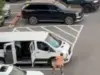 Aρκούδα έσπειρε τον τρόμο σε εμπορικό κέντρο στο Τενεσί: Βίντεο τη δείχνει να τρέχει πίσω από πολίτες που έτρεχαν να ξεφύγουν