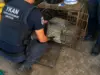 Έκρυψε 1,5 κιλό κάνναβης σε κλουβί σκύλου – Σύλληψη 63χρονου στο Ζύγι
