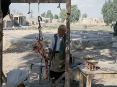Τσαμαρέλλα: Όταν ο κυπριακός ήλιος έγινε το πρώτο ψυγείο της Κύπρου