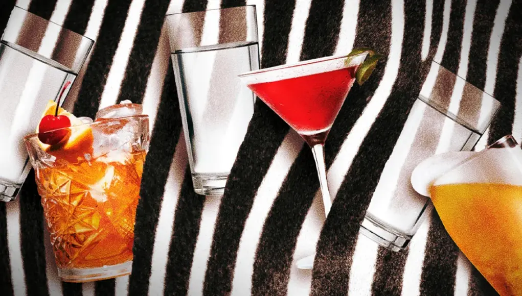 zebra.jpg