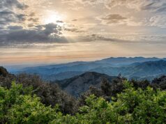Mountain Games Cyprus 2026: Το Τρόοδος υποδέχεται 11 χώρες σε μια τετραήμερη γιορτή άθλησης και πολιτισμού