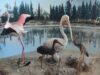 Το Ίδρυμα Φώτος Φωτιάδης γιορτάζει τα 30 χρόνια του Κυπριακού Μουσείου Φυσικής Ιστορίας